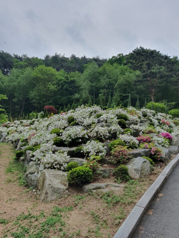 KakaoTalk_20240430_203040383_23.jpg